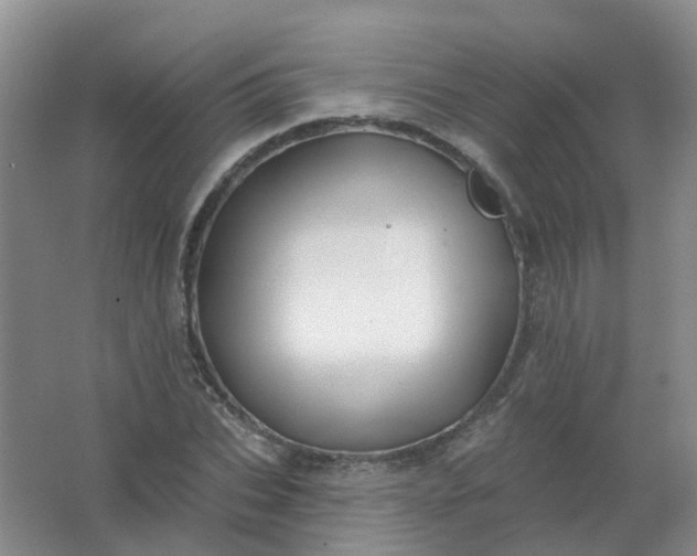 X0000062140927200512231501