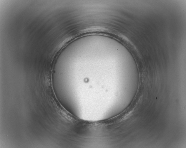 X0000062140929200512231501