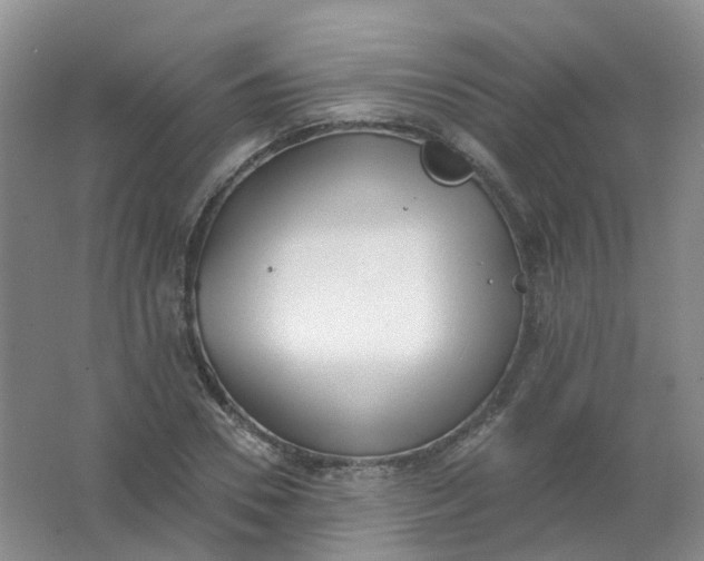 X0000062140930200512231501