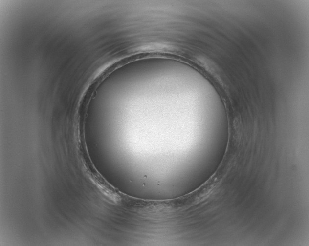 X0000062140931200512231501