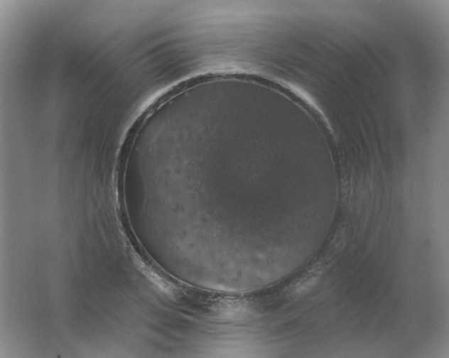 X0000062140935200512231501