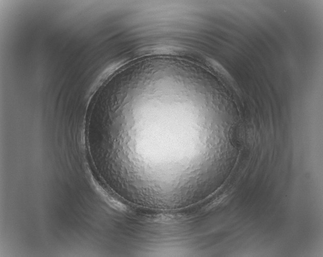 X0000062140938200512231501