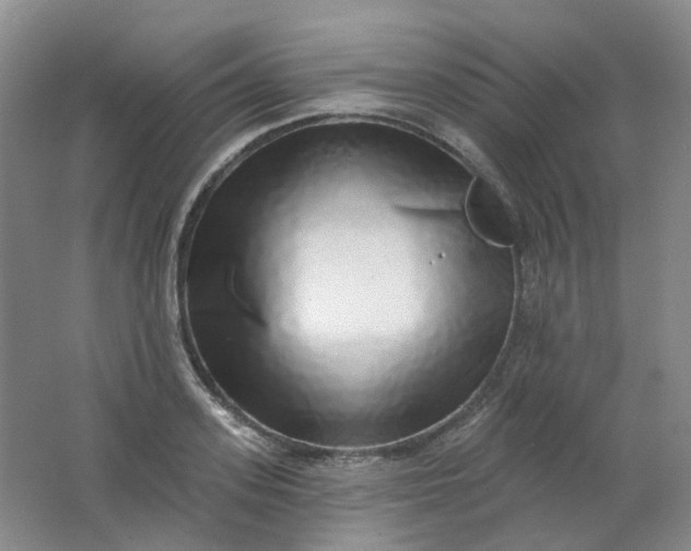 X0000062140939200512231501