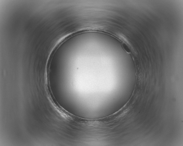 X0000062140940200512231501