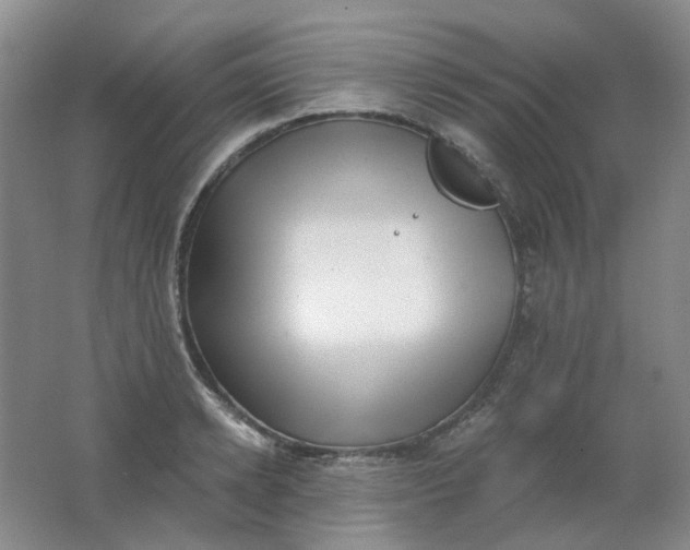 X0000062140942200512231501