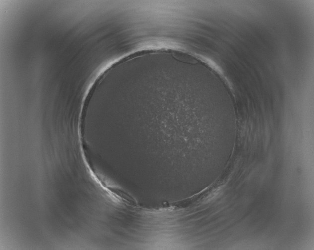 X0000062140943200512231501