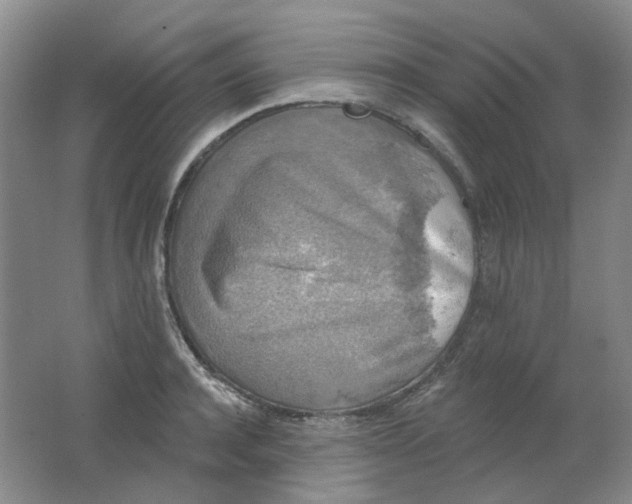 X0000062140944200512231501