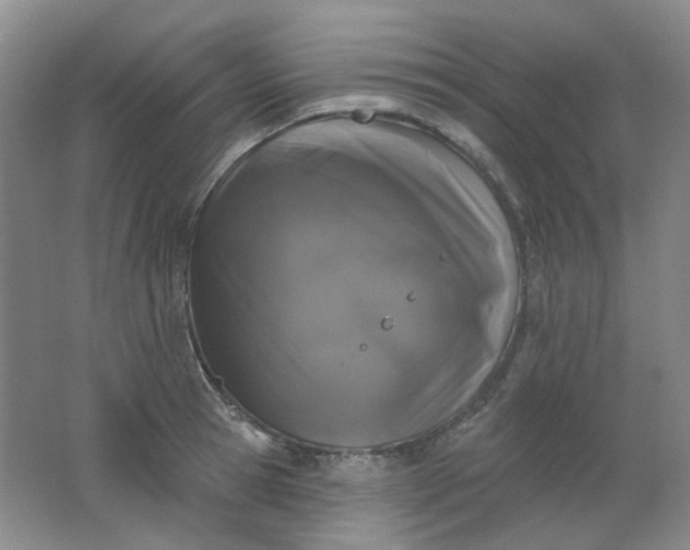 X0000062140945200512231501