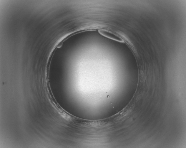 X0000062140948200512231501