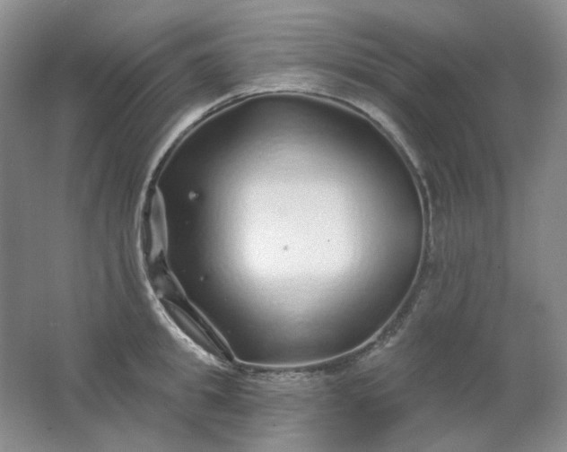 X0000062140949200512231501