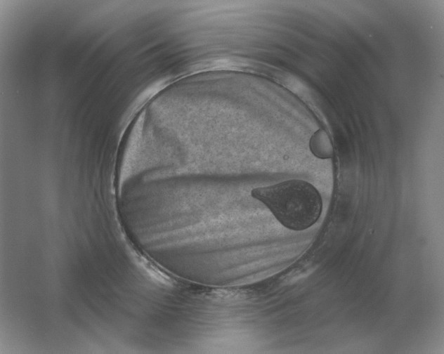 X0000062140954200512231501