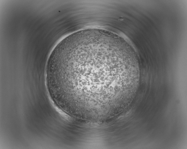 X0000062140955200512231501