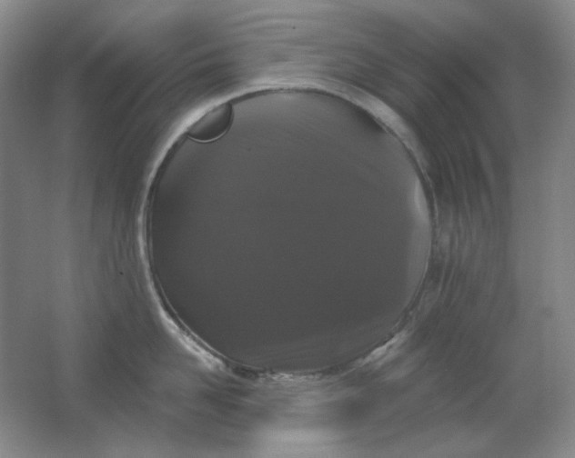 X0000062140958200512231501