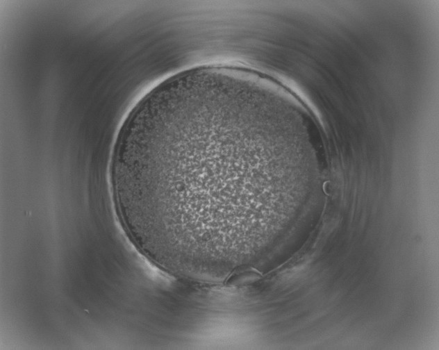 X0000062140959200512231501