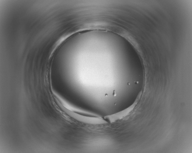 X0000062140960200512231501