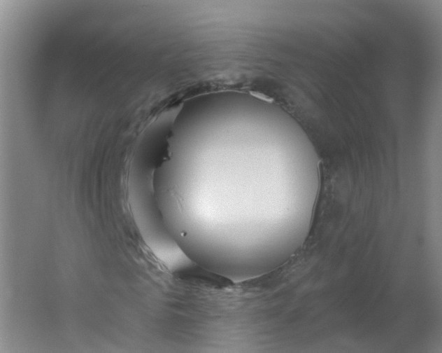 X0000062140961200512231501