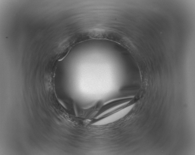 X0000062140964200512231500