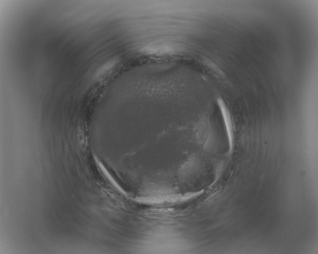 X0000062140966200512231500