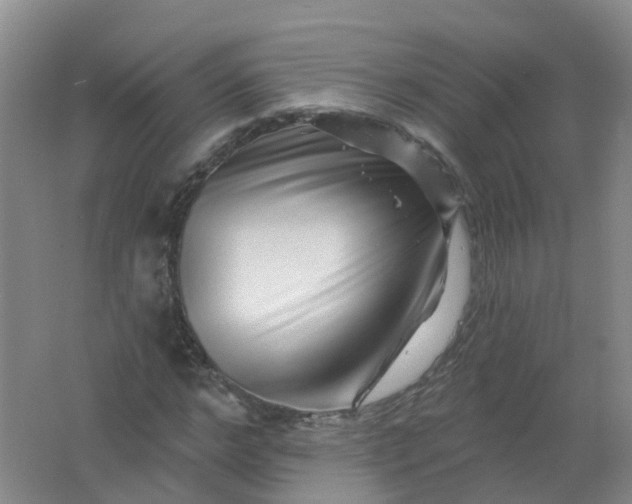 X0000062140968200512231500