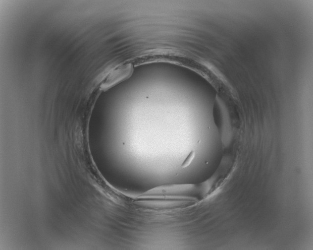 X0000062140969200512231500