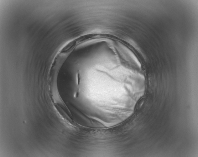 X0000062140972200512231500