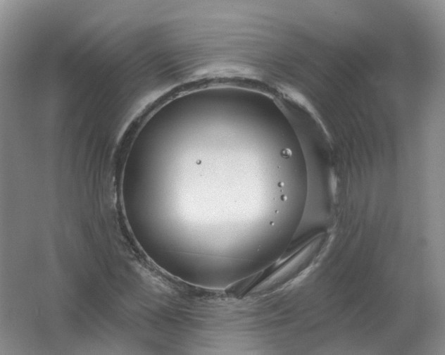 X0000062140973200512231500