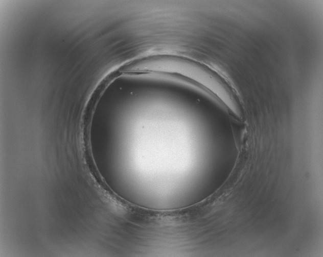 X0000062140976200512231500