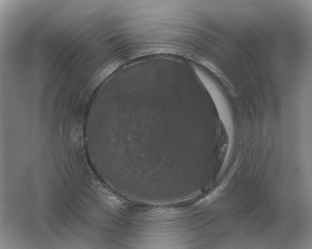 X0000062140977200512231500