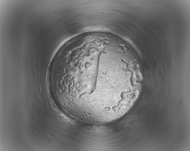 X0000062140983200512231500