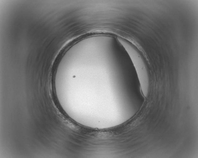 X0000062140984200512231500