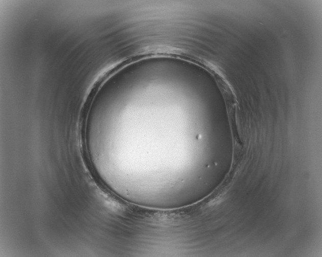 X0000062140987200512231500