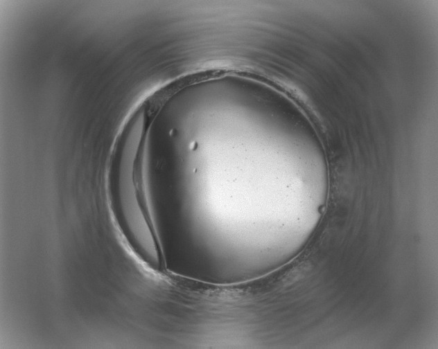 X0000062140991200512231500