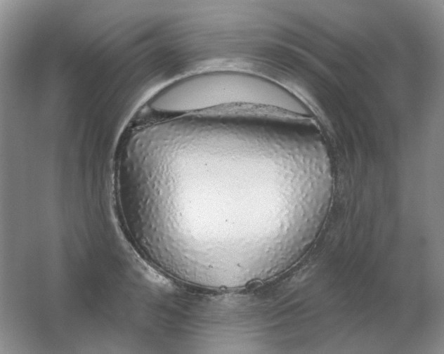 X0000062140992200512231500