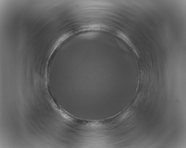 X0000062140994200512231500