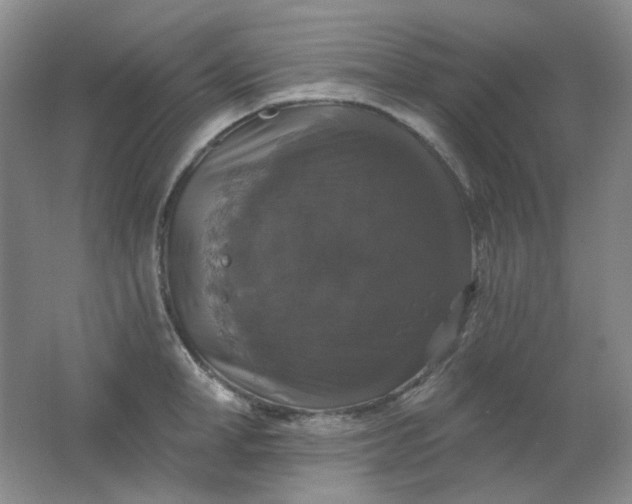 X0000062140998200512231500