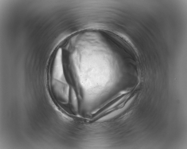 X0000062140999200512231500