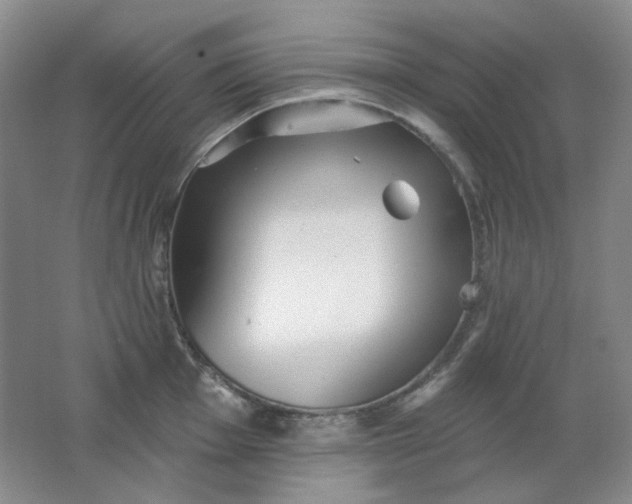 X0000062141001200512231500