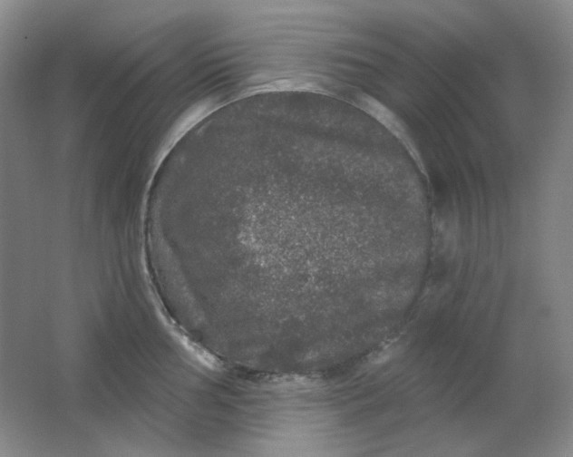 X0000062141002200512231500