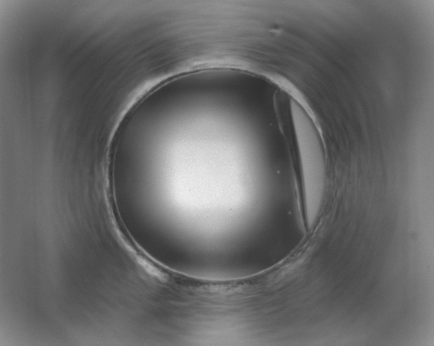 X0000062141005200512231500