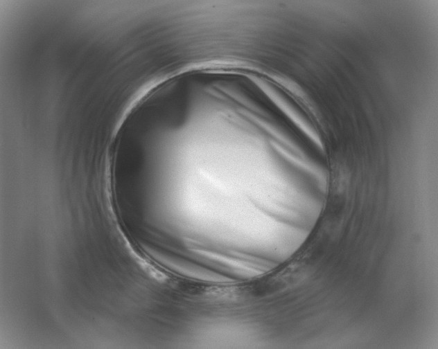 X0000062141006200512231500