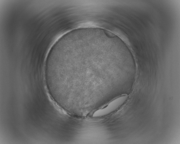 X0000062141008200512231500