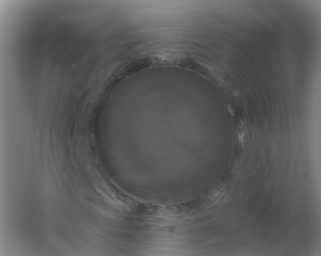 X0000062141009200512231459