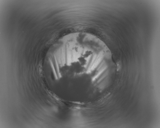 X0000062141011200512231459