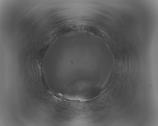 X0000062141013200512231459