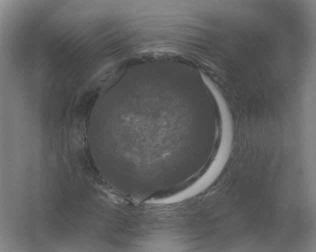 X0000062141014200512231459