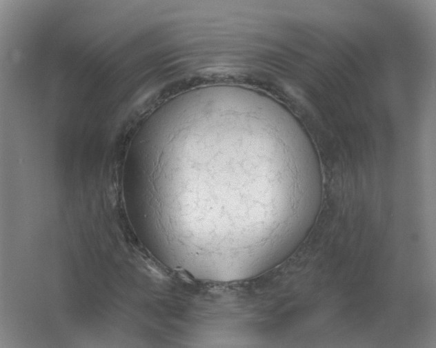 X0000062141015200512231459