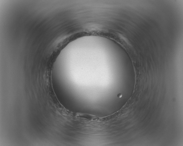 X0000062141016200512231459