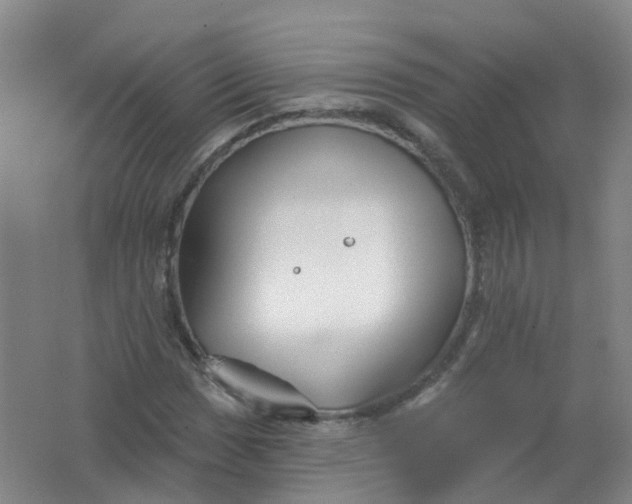 X0000062141017200512231459