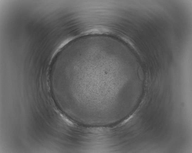 X0000062141018200512231459