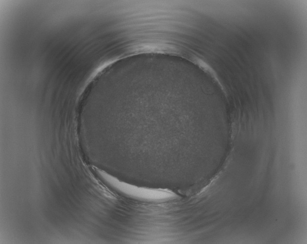 X0000062141019200512231459